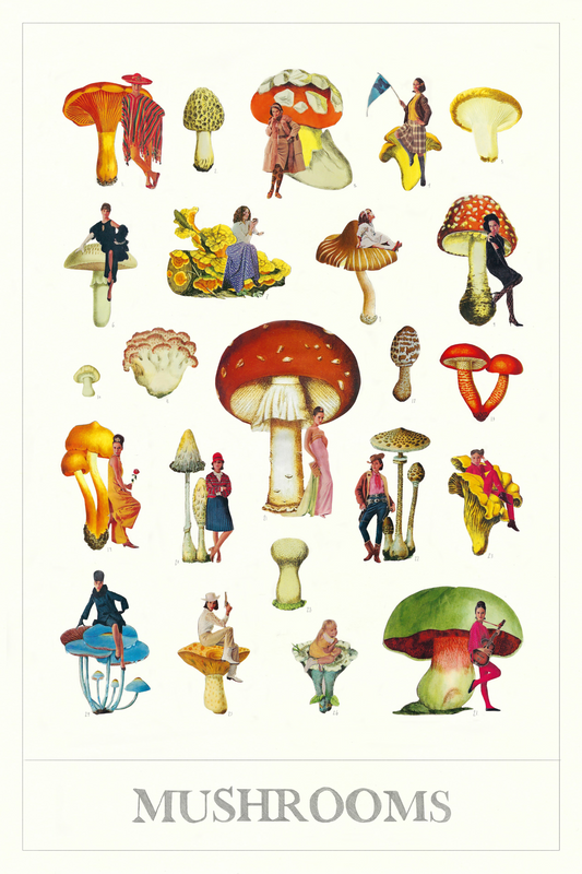 Mushrooms | Mariana de Alba - Impresión Giclée